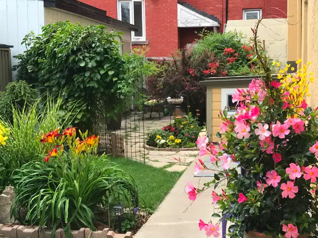 Ottawa Centretown–Tiny Heaven Furnished Basement Studio All Inc - Photo 8