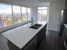 3-Bed   1 Big Den Penthouse Unit at Capstan Village for Rent! - Photo 2