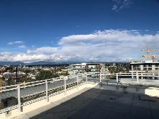 3-Bed   1 Big Den Penthouse Unit at Capstan Village for Rent! - Photo 10