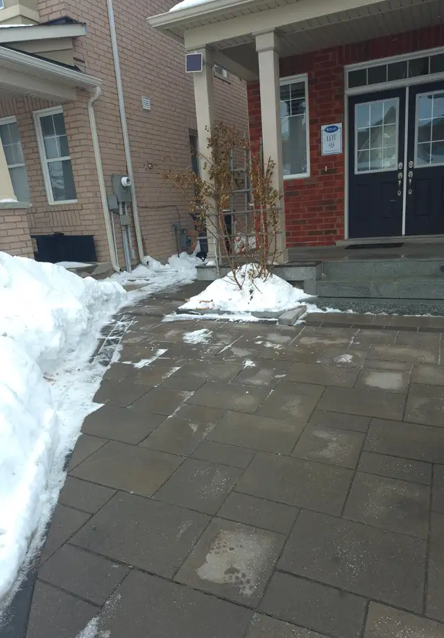 Legal, New Bedroom Basement Apartment for rent - Photo 10