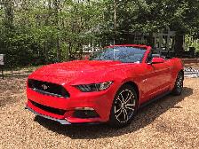 WANTED - 2015 to 2020 Mustang GT
