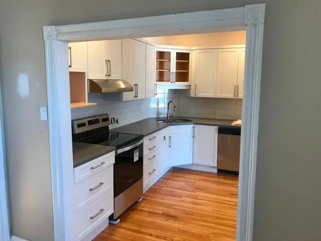 $2950/3br-1200ft² - Sandy Hill - Great unit in a well maintained - Photo 3