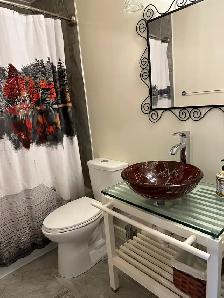 Carleton Place Bridge St - 2 Bdrm Apt – ground flr no Stairs, EV - Photo 6