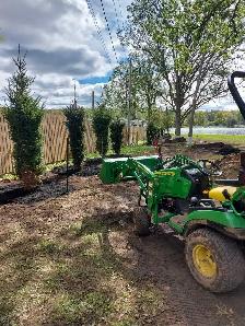 Cedar Trees - Photo 5