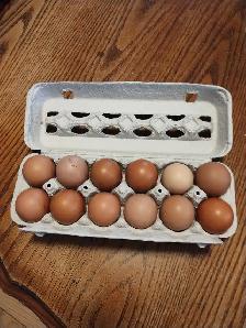 Farm fresh eggs