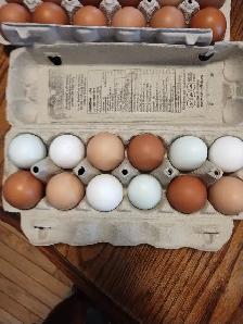 Farm fresh eggs - Photo 2