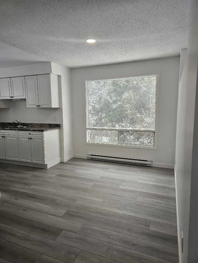 Fully Renovated - 2 Bedroom Apartment for Rent March 1st - Photo 3