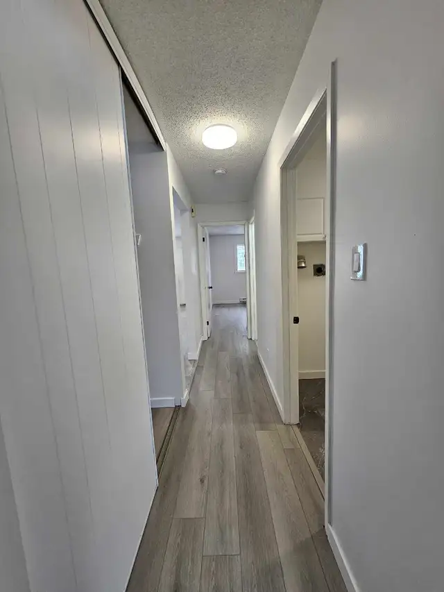 Fully Renovated - 2 Bedroom Apartment for Rent March 1st - Photo 5