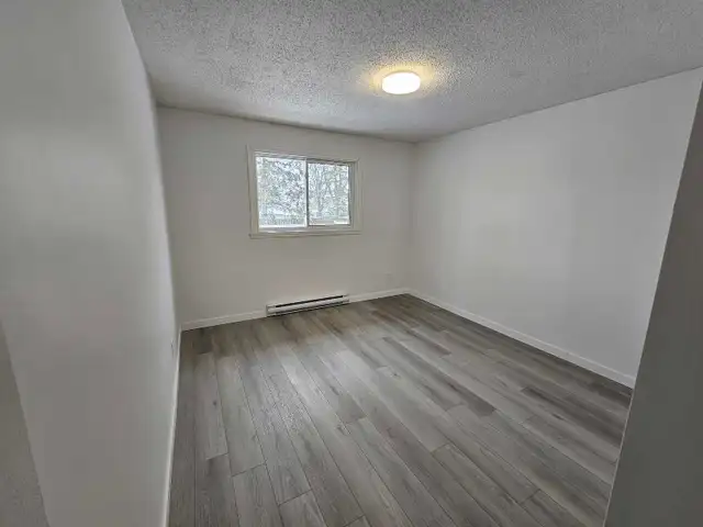 Fully Renovated - 2 Bedroom Apartment for Rent March 1st - Photo 8