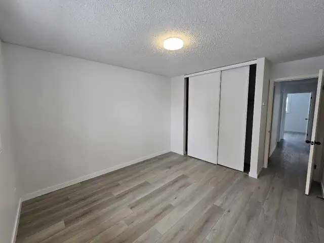 Fully Renovated - 2 Bedroom Apartment for Rent March 1st - Photo 10