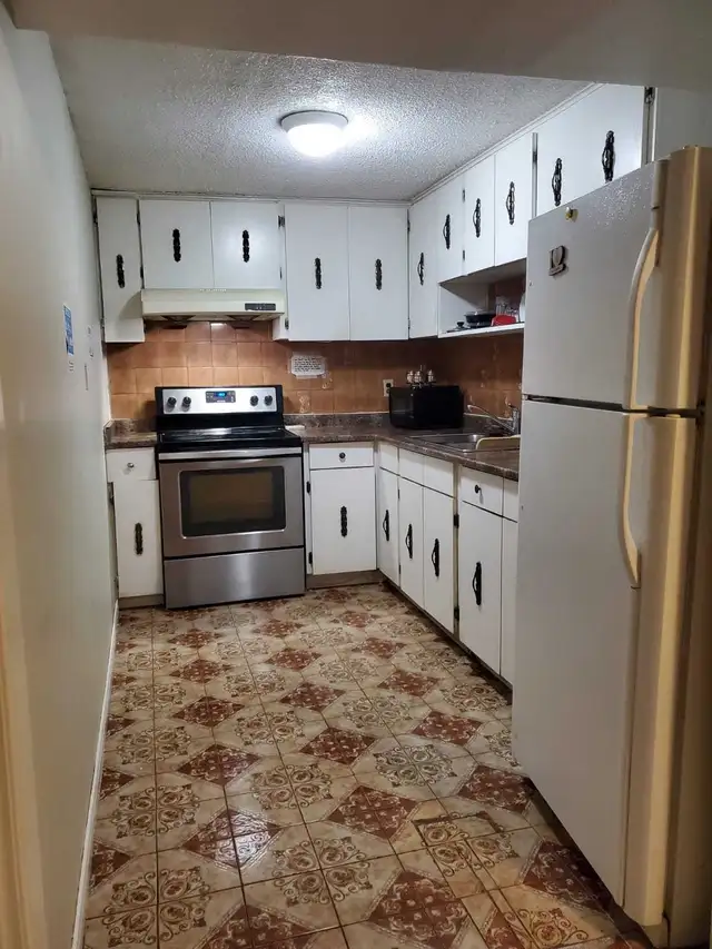 Female Only – Shared & Private Basement Rooms Malton - Photo 3