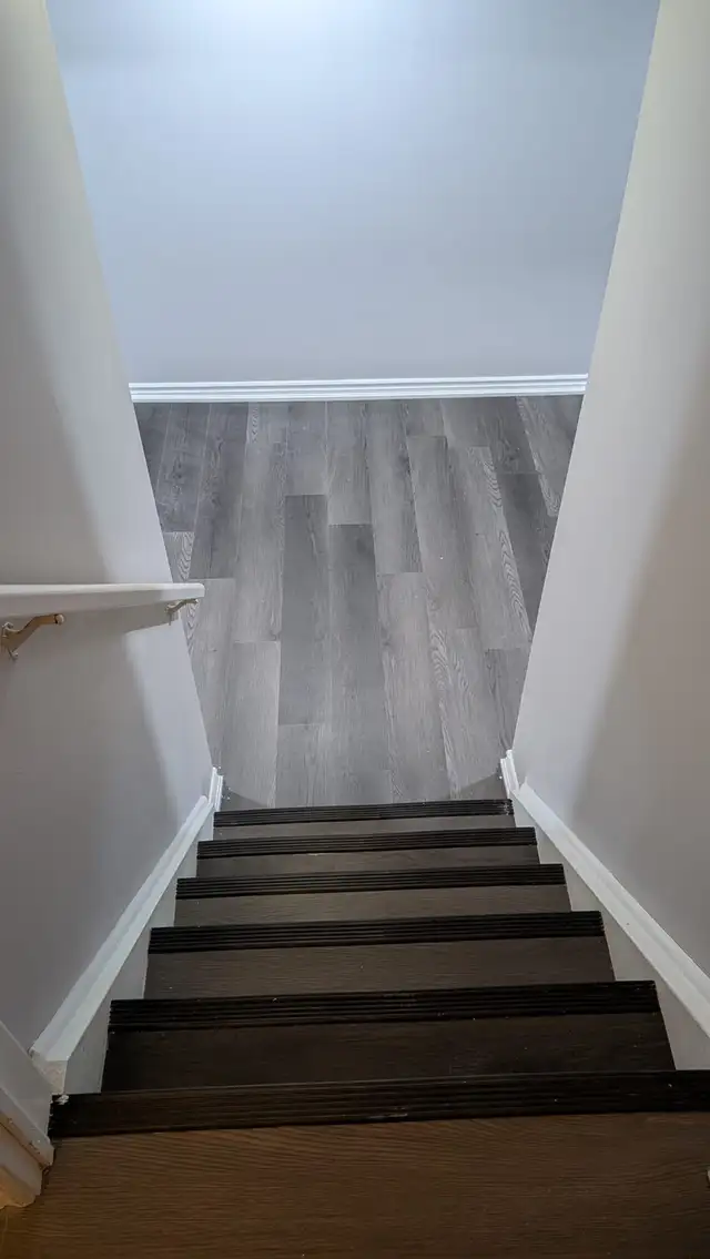 Shared Basement For Rent - Female Only - Photo 2