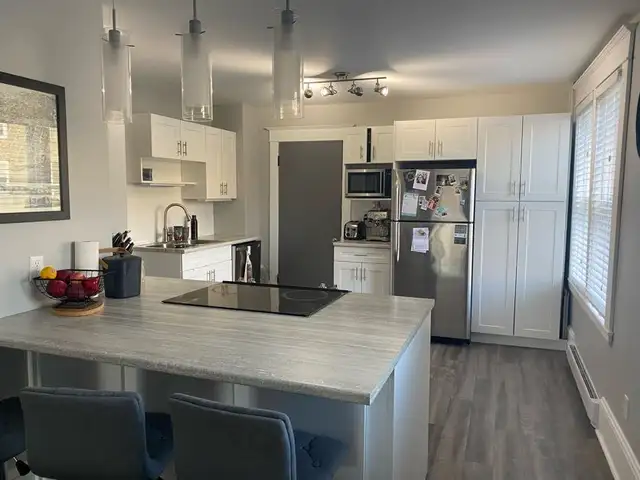 Uptown 3 Bedroom Renovated - Parking Wifi Laundry Dishwasher inc - Photo 3