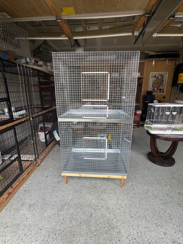 Bird Cage - Photo 3
