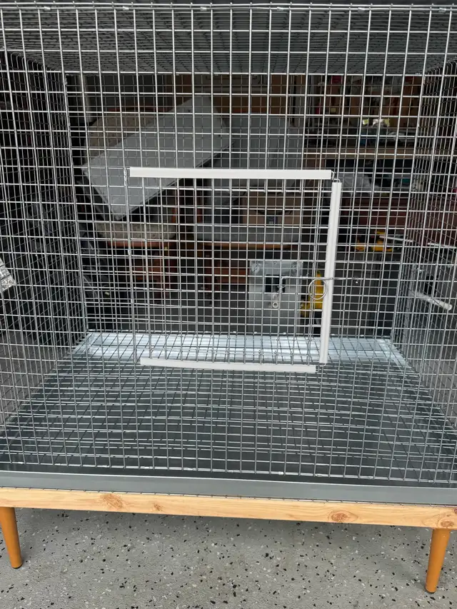 Bird Cage - Photo 4