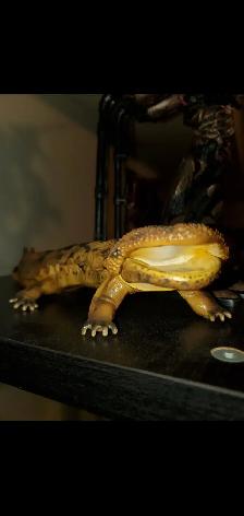 2 Glass Stands with Mcfarlanes toys More $40$ for everything - Photo 9