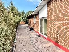 1 BR Basement Apartment for rent in Etobicoke fully furnished