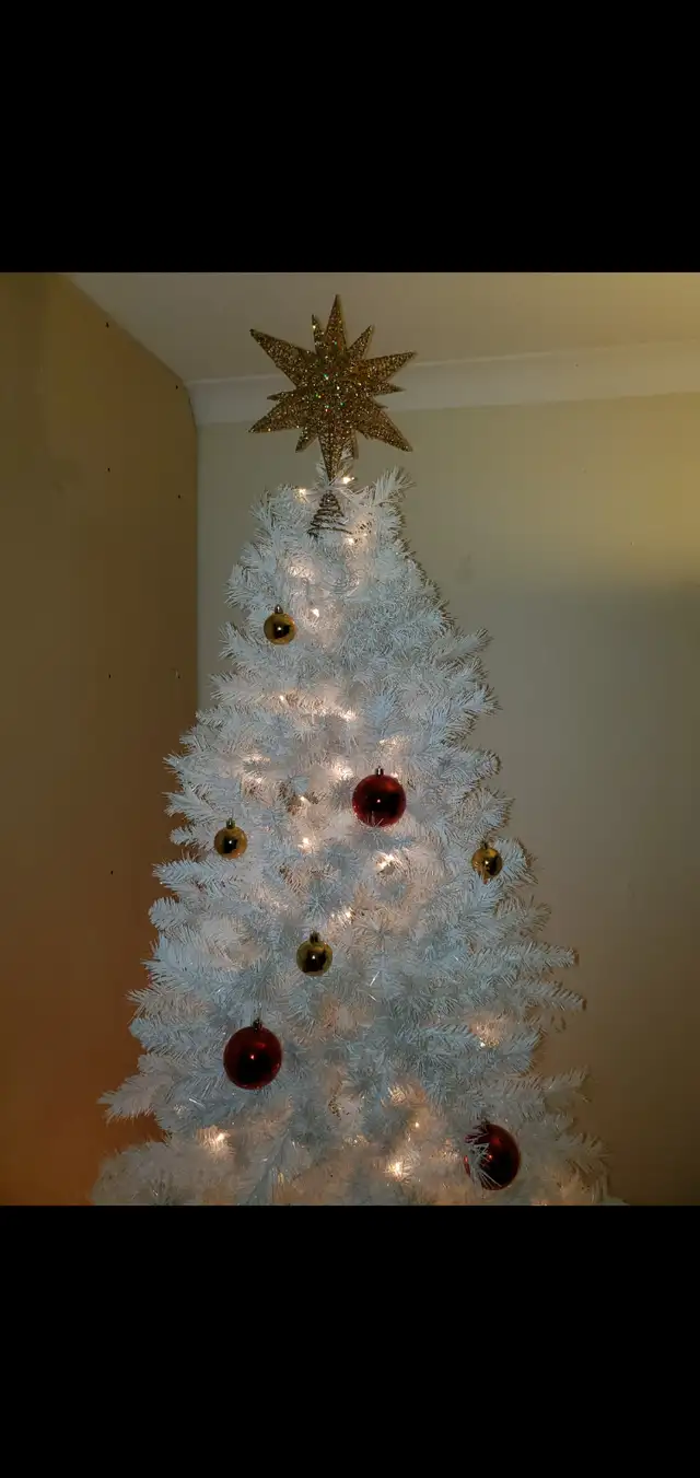 Christmas tree white 8 foot tall good condition just $10$