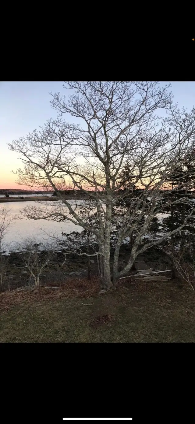 apartment for rent - Photo 2