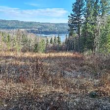 5.17 ACRE PROPERTY WITH VIEWS OF TABOR LAKE AND MOUNTAIN