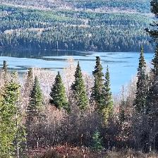 5.17 ACRE PROPERTY WITH VIEWS OF TABOR LAKE AND MOUNTAIN - Photo 2