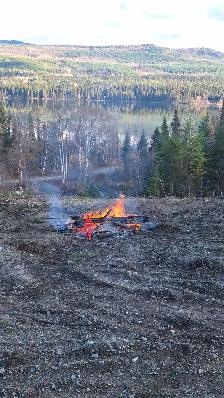 5.17 ACRE PROPERTY WITH VIEWS OF TABOR LAKE AND MOUNTAIN - Photo 4