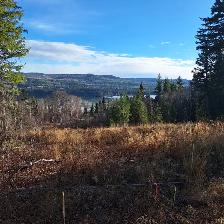 5.17 ACRE PROPERTY WITH VIEWS OF TABOR LAKE AND MOUNTAIN - Photo 7