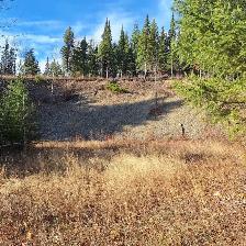 5.17 ACRE PROPERTY WITH VIEWS OF TABOR LAKE AND MOUNTAIN - Photo 10