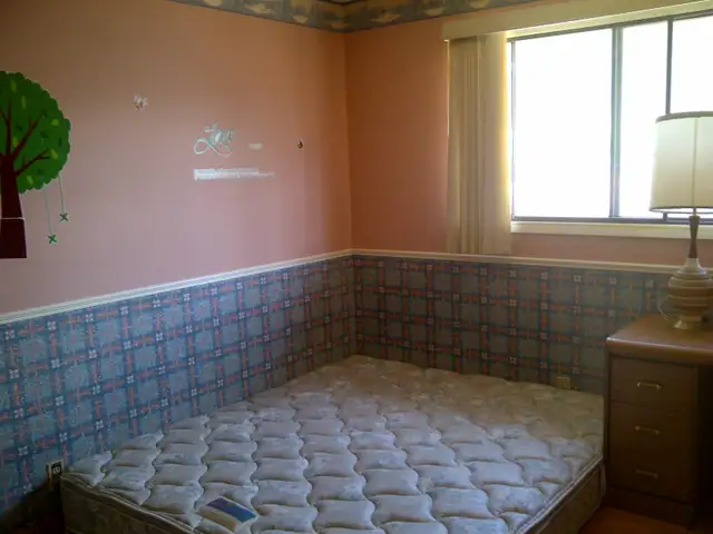 Edgemont NW upstairs master 2room 2bath incl utility EZtransit - Photo 7