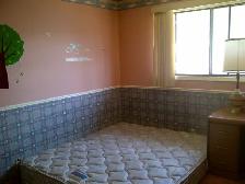 Edgemont NW upstairs master 2room 2bath incl utility EZtransit - Photo 7