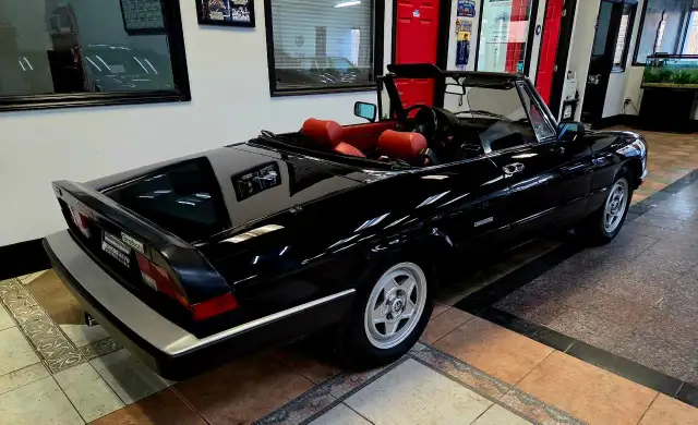 1987 Alfa Romeo Spider Manual Transmission/Very Low KMs/Certi... - Photo 7