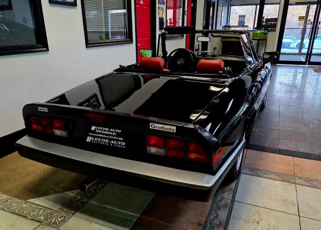 1987 Alfa Romeo Spider Manual Transmission/Very Low KMs/Certi... - Photo 8