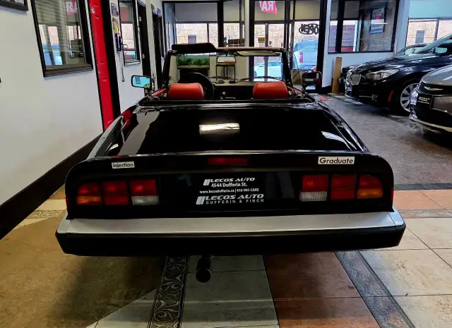 1987 Alfa Romeo Spider Manual Transmission/Very Low KMs/Certi... - Photo 9