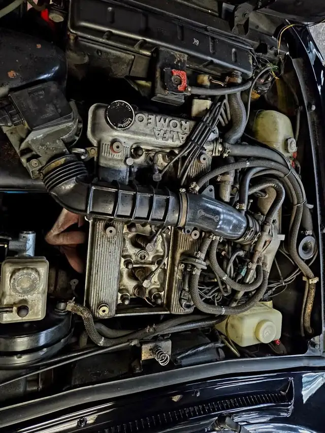 1987 Alfa Romeo Spider Manual Transmission/Very Low KMs/Certi... - Photo 12