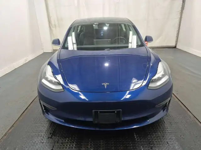 2020 Tesla Model 3 No Accidents l Stndrd Range Plus l Tesla Warr - Photo 6