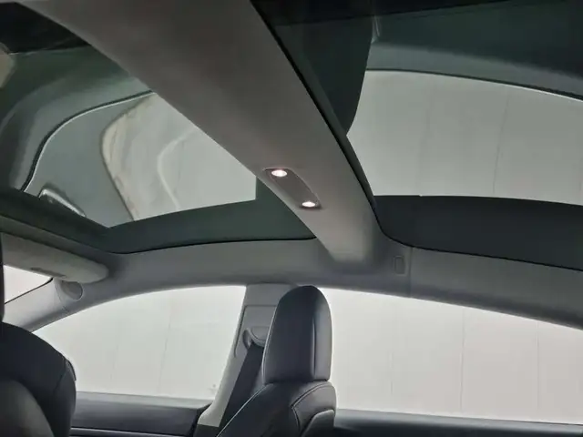 2020 Tesla Model 3 No Accidents l Stndrd Range Plus l Tesla Warr - Photo 10
