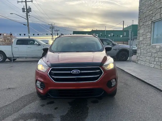 2019 Ford Escape SE 4WD - Photo 2