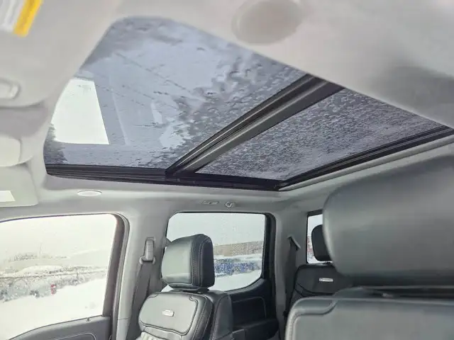 2022 Ford F-150 Limited- Pano Sunroof - 360 Camera - - Photo 14