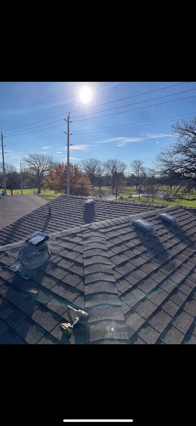 Brothers Wildlife Removal- Raccoons, Skunks, Squirrels - Photo 7