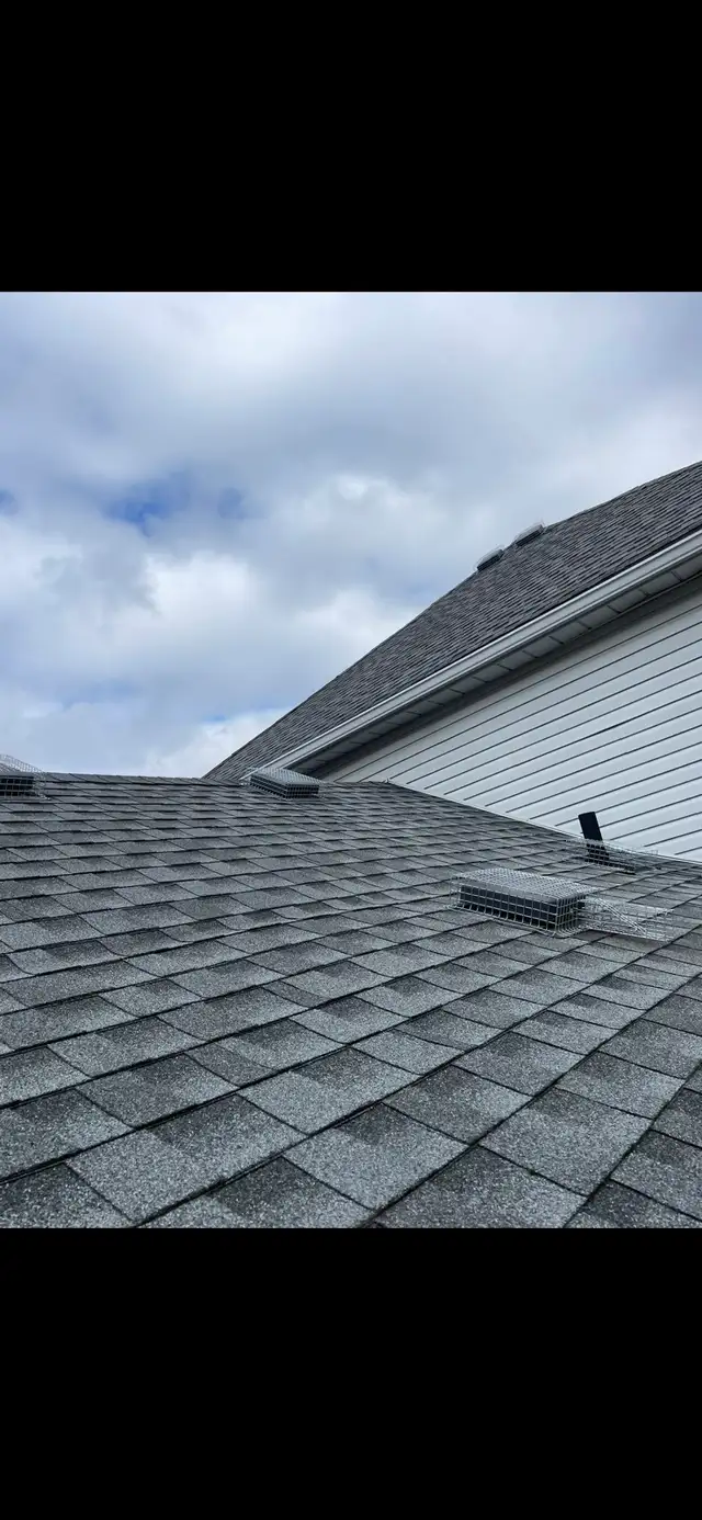 Brothers Wildlife Removal- Raccoons, Skunks, Squirrels - Photo 9