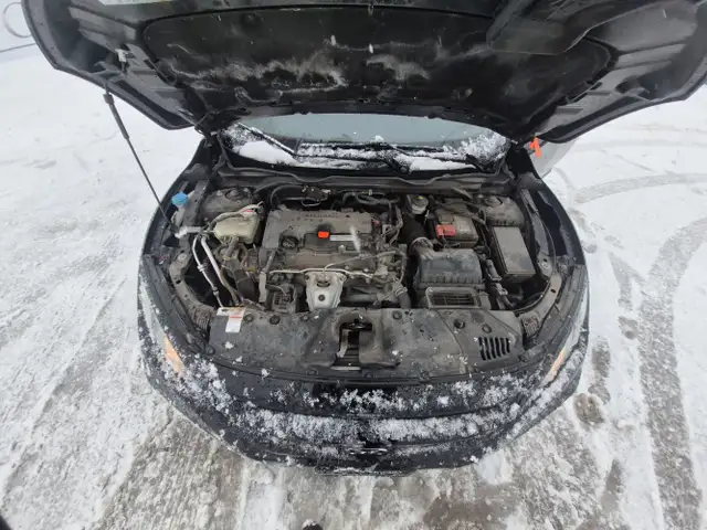 2019 Honda Civic - Photo 11
