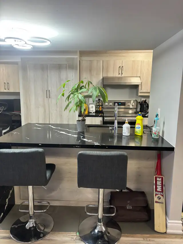 Beautiful 2 Bedroom Basement Apartment – Mississauga - Photo 6