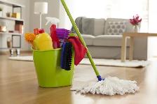 House Cleaning Services - Accepting New Clients - Pet Friendly - Photo 2