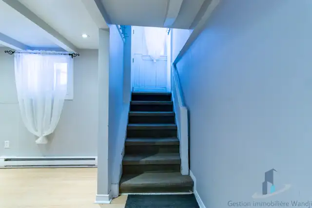 Appartement à louer - 291 rue Notre-Dame-de-l'Île #1 - Photo 3