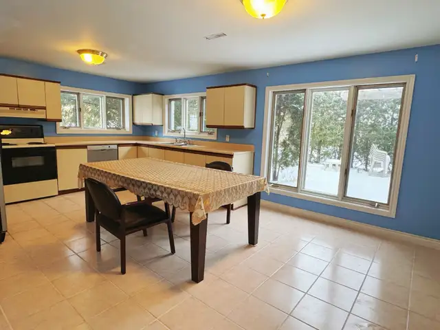 Walk Out Larger Bright Basement for Rent