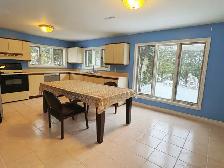 Walk Out Larger Bright Basement for Rent