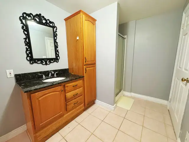 Walk Out Larger Bright Basement for Rent - Photo 2