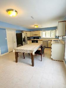 Walk Out Larger Bright Basement for Rent - Photo 5