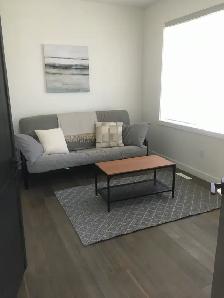 Hiring: Experienced house cleaner with vehicle - Photo 6