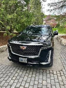 limousine Drivers - Photo 2